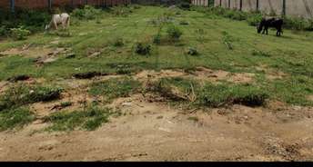 Commercial Industrial Plot 600 Sq.Yd. For Resale In New Industrial Township Faridabad 6358260