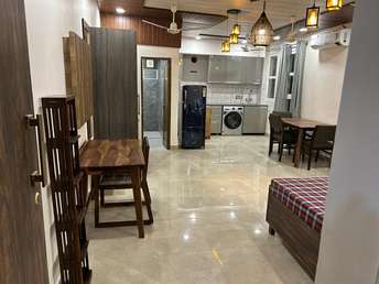 1 BHK Apartment For Rent in RWA Green Park Extension Green Park Delhi 6358473