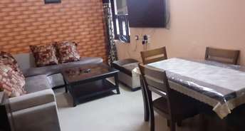 3 BHK Apartment For Resale in AP Block Pitampura Pitampura Delhi 6359361