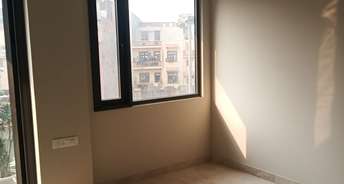 2.5 BHK Builder Floor For Rent in Shakti Nagar Delhi 6359807