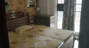 2 BHK Apartment For Rent in Aditya Urban Casa Sector 78 Noida 6360526
