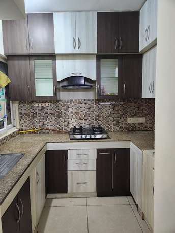 2 BHK Apartment For Rent in Express Zenith Sector 77 Noida 6360612