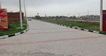  Plot For Resale in Panchkula Sector 18 Chandigarh 6360605