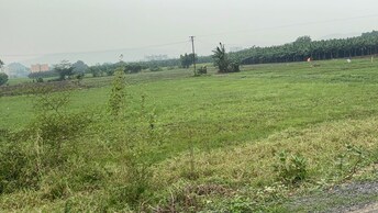 Plot For Resale in Kunchanapalli Vijayawada  6361513