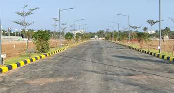  Plot For Resale in Star City Alambagh Lucknow 6361696