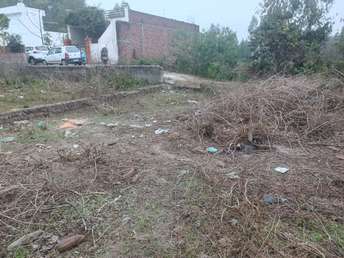  Plot For Resale in Dhira Pathankot 6362689