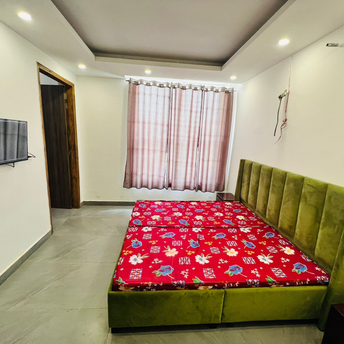 1 BHK Builder Floor For Rent in Royal Oxford Street Ambala Highway Zirakpur 6362738