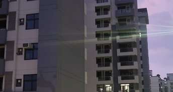 2 BHK Apartment For Rent in Sector p4 Greater Noida 6362900