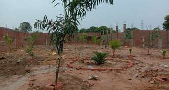  Plot For Resale in Lowther Road Allahabad 6363466