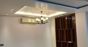 3 BHK Builder Floor For Rent in Defence Colony Delhi 6363583