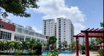 4 BHK Apartment For Rent in Adarsh Palm Retreat Marathahalli Orr Bangalore 6363641