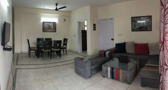 3.5 BHK Apartment For Resale in Ardee Palm Grove Villas Sector 52 Gurgaon 6363659
