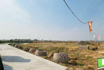 Commercial Land 250 Sq.Yd. For Resale In Dadu Majra Colony Chandigarh 6363801