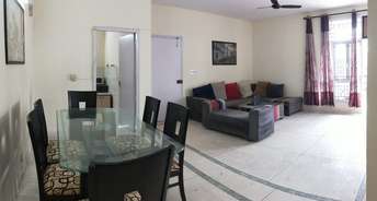 3.5 BHK Apartment For Resale in Ardee Platinum Courts Sector 52 Gurgaon 6363854