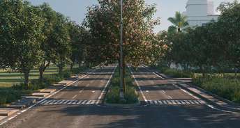  Plot For Resale in Sector 34 Gurgaon 6363888