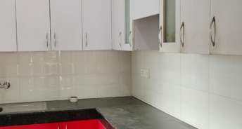 2 BHK Apartment For Resale in NG Madhuban Pirangut Pune 6364033