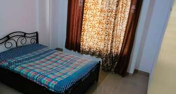 1 BHK Apartment For Rent in Kalyani Nagar Pune 6365148