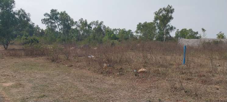 3 Acre Plot in Turkapally Hyderabad