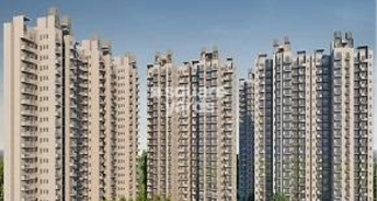 3 BHK Apartment For Rent in SS The Coralwood Sector 84 Gurgaon 6366116