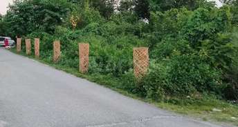  Plot For Resale in East Canal Road Dehradun 6366439