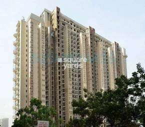 4 BHK Apartment For Rent in DLF The Magnolias Sector 42 Gurgaon 6366688