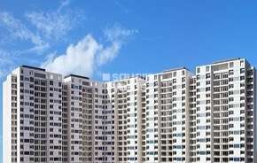 1 BHK Apartment For Rent in Cosmos Classique Ghodbunder Road Thane 6366741