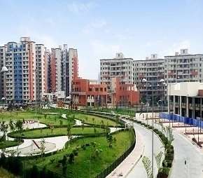 3 BHK Apartment For Rent in AWHO Township Awho Greater Noida 6366743