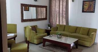 4 BHK Apartment For Resale in Wave City Wave City Ghaziabad 6367023
