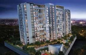 2 BHK Apartment For Rent in Concord Prima Domus Balewadi Pune 6367617