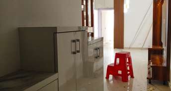 2 BHK Apartment For Rent in Suncity Avenue 76 Sector 76 Gurgaon 6367884