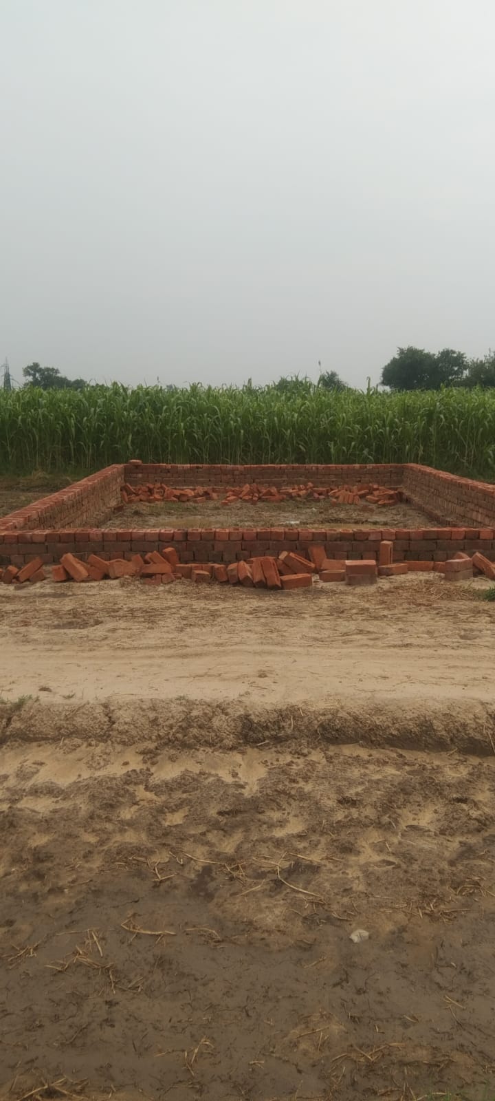 Resale 100 Sq.Yd. Plot in Delhi Cantonment Delhi 6525995