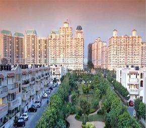 1 BHK Apartment For Rent in DLF Exclusive Floors Sector 53 Gurgaon 6368830