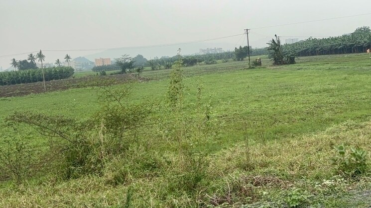 undefined, tadikonda  270 Sq.Yd. Plot In Tadikonda Guntur 6368901