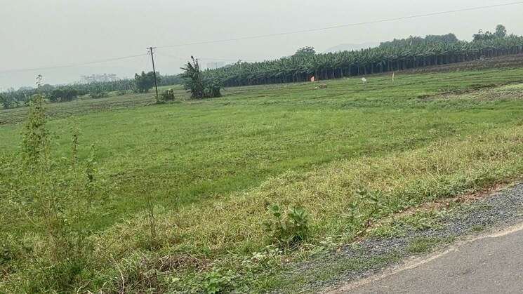 undefined, tadikonda  270 Sq.Yd. Plot In Tadikonda Guntur 6368901