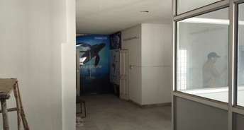 Commercial Office Space 700 Sq.Ft. For Rent In Phase 5 Mohali 6369100