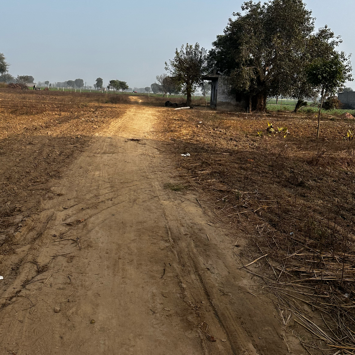 Plot For Resale in Kurali Faridabad  6369671