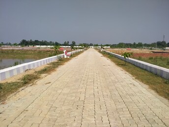 Plot For Resale in Banthra Sikander Pur Lucknow  6369971