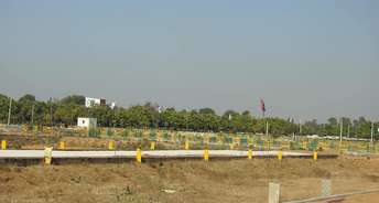  Plot For Resale in Sector 81 Faridabad 6369936