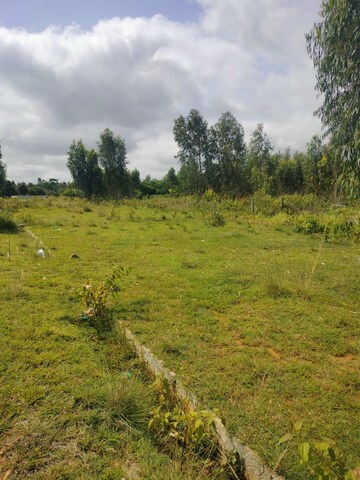 Plot Area in  Plot at Shivakote – for Sale