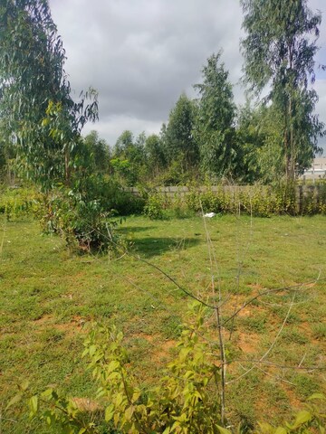 Plot Area in  Plot at Shivakote – for Sale