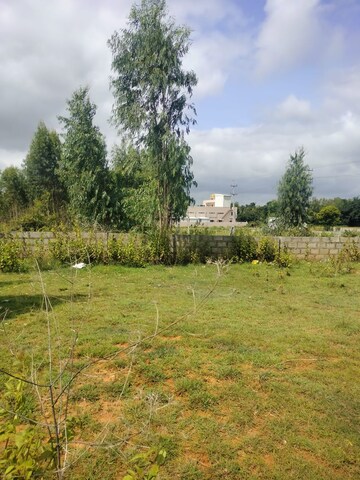Plot Area in  Plot at Shivakote – for Sale