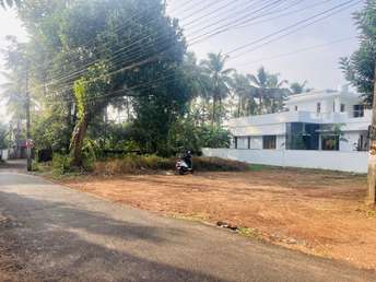  Plot For Resale in Ayyanthole Thrissur 6371024