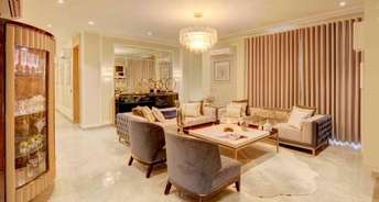 5 BHK Penthouse For Resale in Aerocity Mohali 6371056