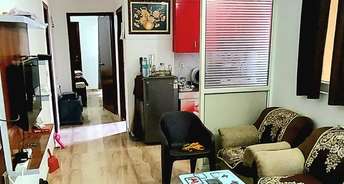 2 BHK Apartment For Rent in Sector 84 Gurgaon 6371093