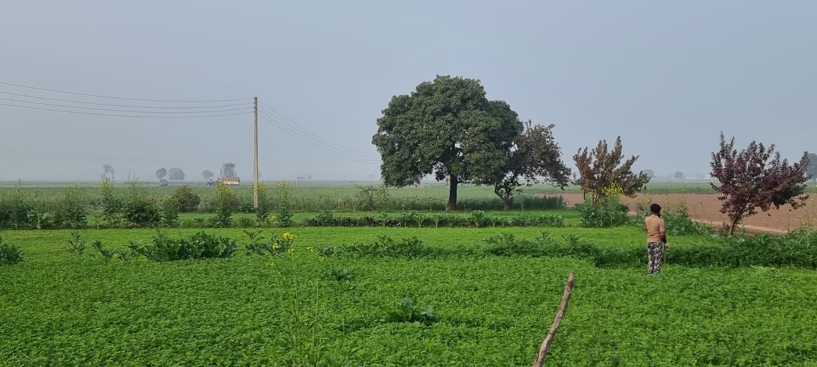 Property for Sale in Kurukshetra 10+ Property in Kurukshetra for Sale