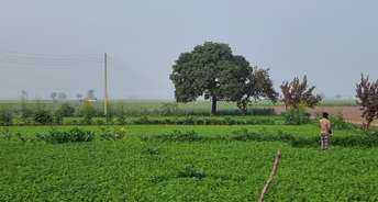 Commercial Land 6 Acre For Resale In Shahabad Barara Road Kurukshetra 6371025