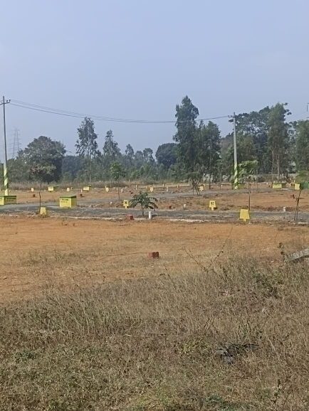 Plot For Resale in Bannerghatta Road Bangalore  6371340