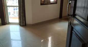 2.5 BHK Apartment For Resale in DLF The Princeton Estate Dlf Phase V Gurgaon 6372900