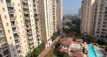 3.5 BHK Apartment For Rent in DLF Beverly Park II Sector 25 Gurgaon 6373179