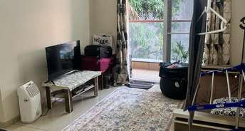 1 BHK Apartment For Rent in Viman Pride Viman Nagar Pune 6373972